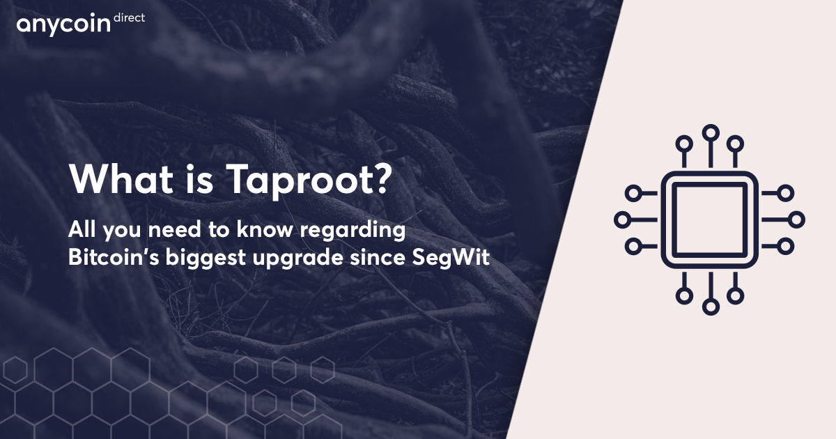 what is taproot