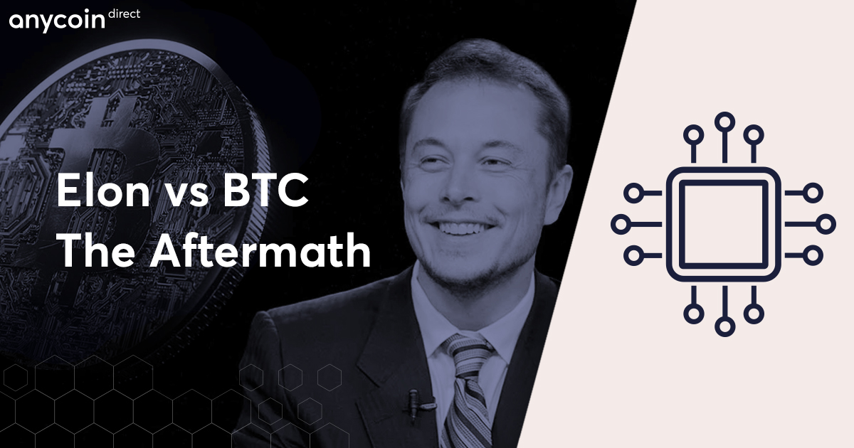 Elon vs BTC Aftermath