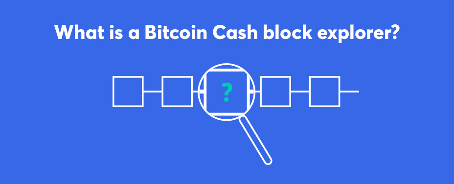 Bitcoin cash explorers bitcoin price target