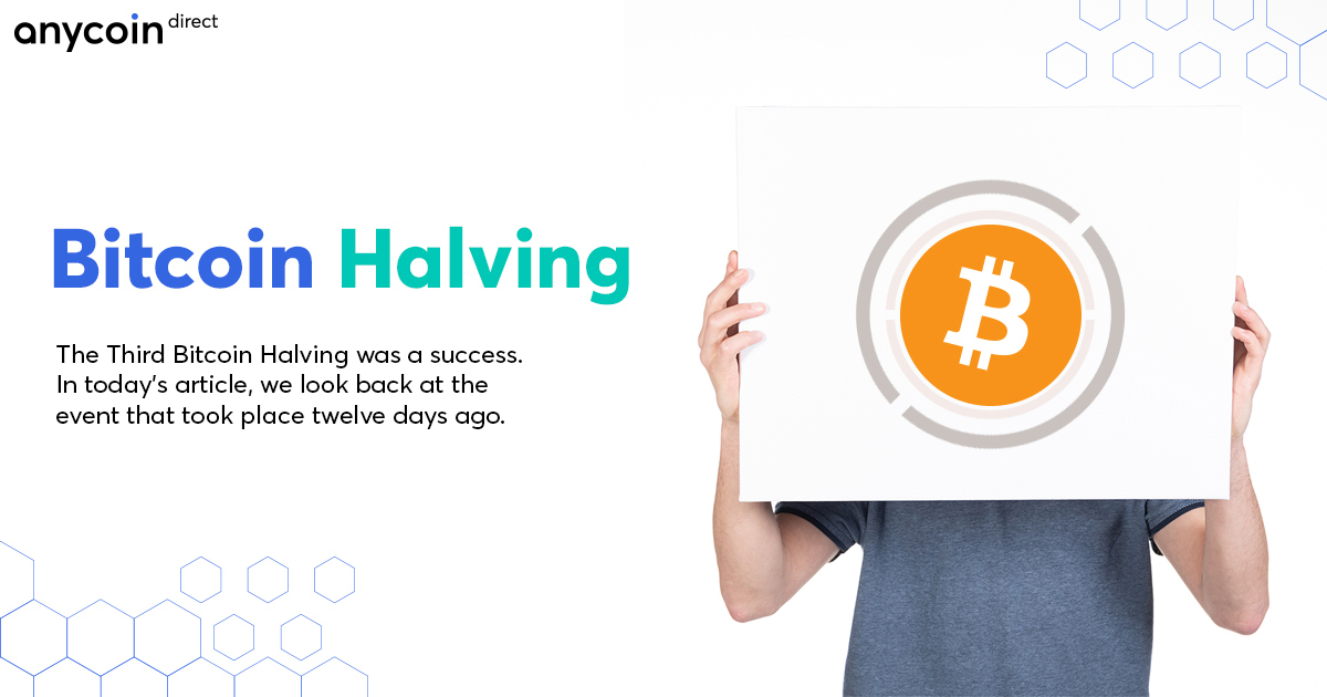 2020 bitcoin halving week after